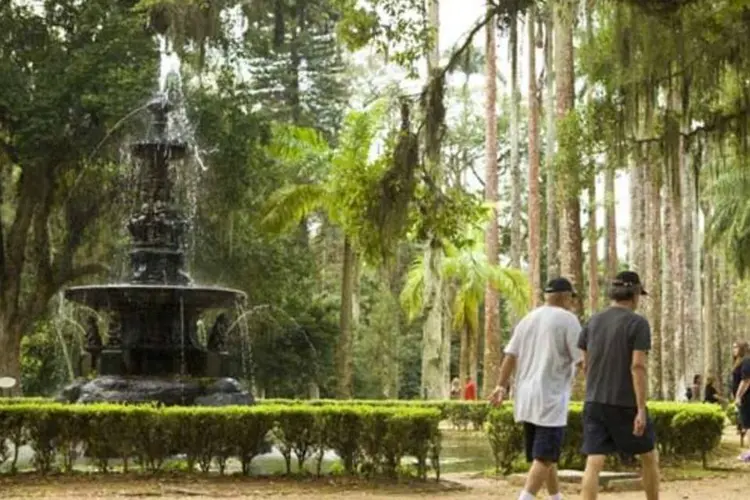 
	Parque do Jardim Bot&acirc;nico, no bairro carioca hom&ocirc;nimo
 (Fernando Lemos/Veja Rio)