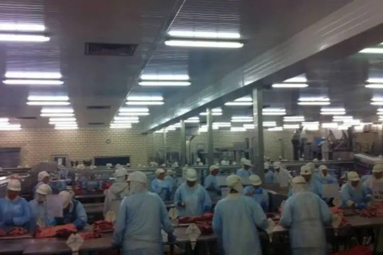 
	F&aacute;brica da JBS no Brasil: grupo &eacute; o maior processador de carne do mundo
 (Divulgação)