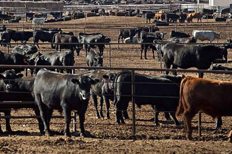 Ministério diz que Brasil não tem mal da "vaca louca"