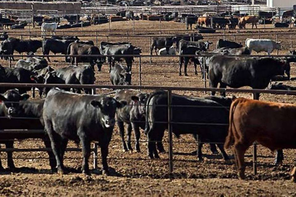 Inflação do aluguel desacelera no mês, mostra prévia