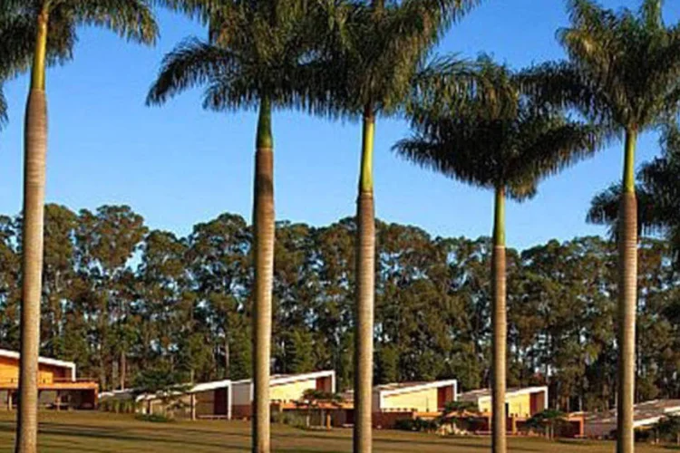 
	Fazenda Boa Vista da JHSF: por outro lado, houve um aumento forte na despesa financeira
 (Divulgação)