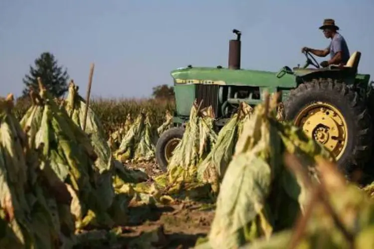 
	Trator da John Deere: vendas de equipamentos agr&iacute;colas no Brasil respondem por cerca de 10% das vendas anuais da Deere
 (GettyImages)