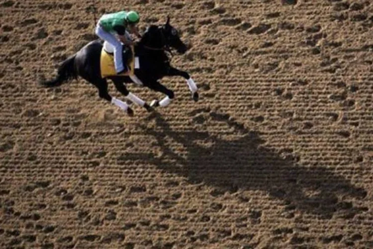 Com as novas regras, o jóquei pode atacar apenas sete vezes o cavalo com o chicote durante um páreo (Jeff Haynes/AFP)
