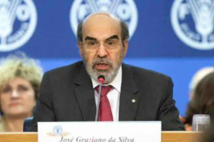 
	Jose Graziano da Silva: ex-ministro do governo Lula ser&aacute; o &uacute;nico candidato para o cargo
 (AFP)
