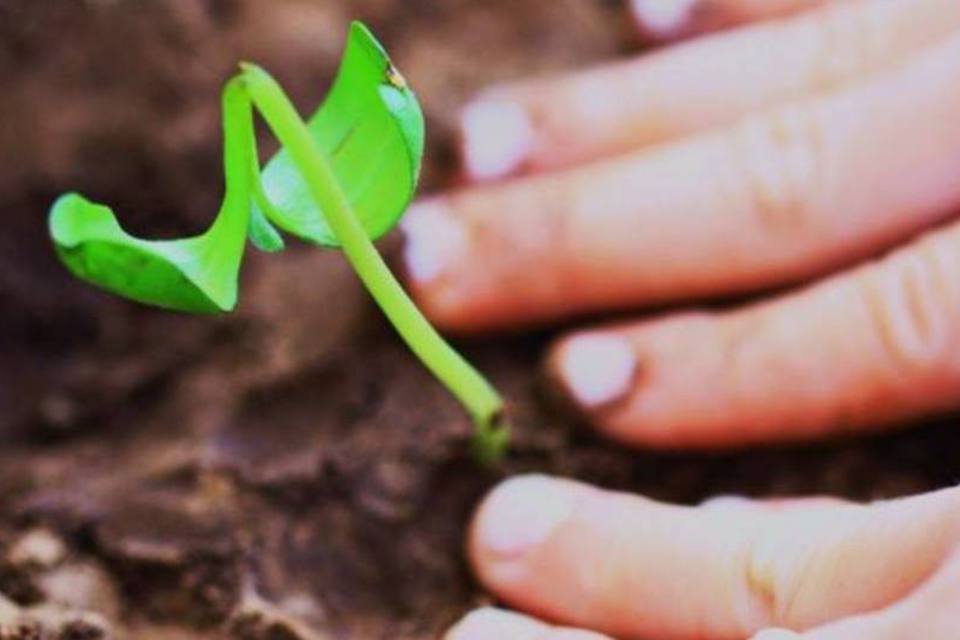 Design sustentável: uma evolução no jeito de fazer negócios