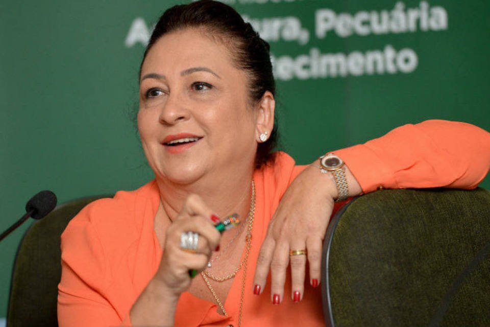 PMDB da Bahia pede expulsão da ministra Kátia Abreu