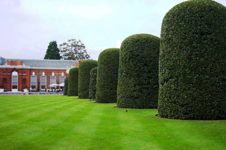 
	Kensington Palace Gardens em Londres, na Inglaterra
 (Melodie Mesiano / Flickr Commons)