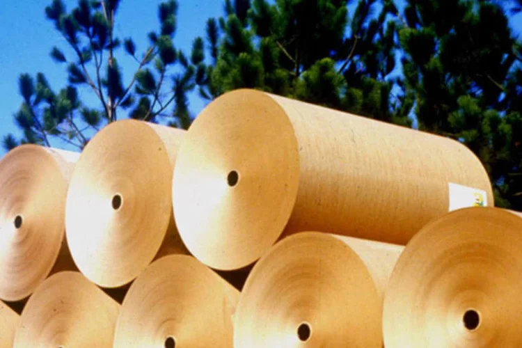
	Rolos de papel Kraft da Klabin: a Klabin concluir&aacute; ainda este ano uma s&eacute;rie de projetos de pequeno e m&eacute;dio portes que resultar&atilde;o em aumento da capacidade instalada da empresa
 (Divulgação)