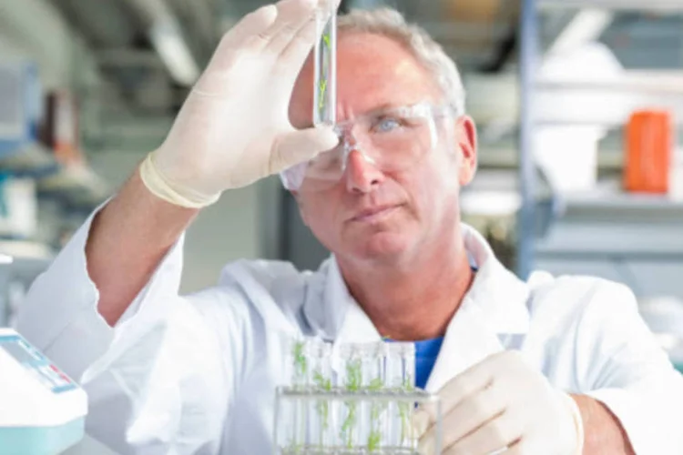 
	Cientista em laborat&oacute;rio: objetivo do CsF &eacute; promover a mobilidade internacional de estudantes e pesquisadores
 (GettyImages)