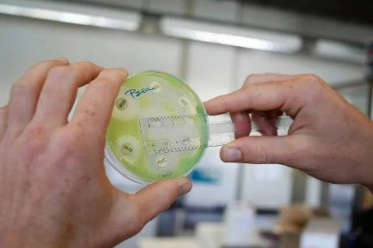 Laboratório de microbiologia: "esta grave ameaça não é mais uma previsão, e sim uma realidade", diz a Organização Mundial de Saúde (Jorge Dirkx/AFP)
