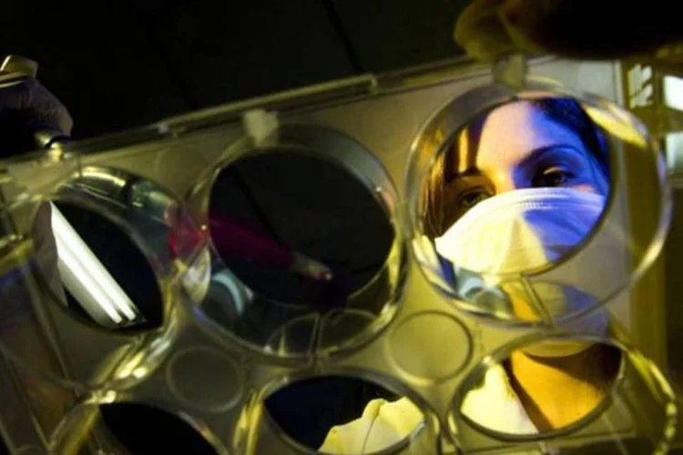 
	Laborat&oacute;rio de nanotecnologia: a previs&atilde;o &eacute; de que os testes em animais comecem no ano que vem
 (Divulgação)