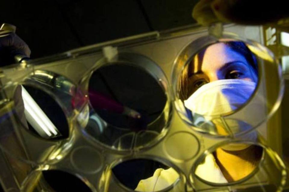 Nanotecnologia e big data podem revolucionar medicina