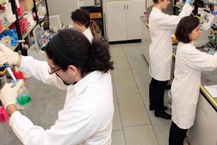 
	Bioengenharia:&nbsp;&nbsp;Com o envelhecimento da popula&ccedil;&atilde;o brasileira, os procedimentos e as t&eacute;cnicas da medicina degenerativa fazem bi&oacute;logos, farmac&ecirc;uticos e qu&iacute;micos ganhar espa&ccedil;o.
 (Marcos Santos/USP Imagens)