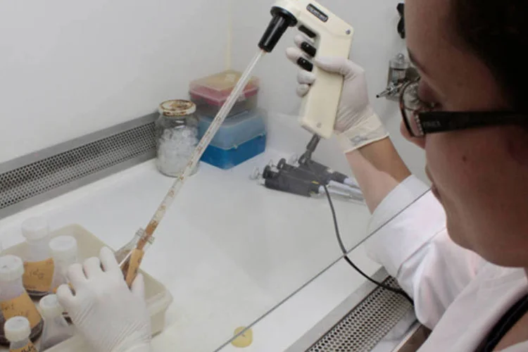 
	Laborat&oacute;rio da USP: &eacute; a primeira vez que uma institui&ccedil;&atilde;o de ensino brasileira chega aos 50 mais em algum dos rankings da THE
 (Marcos Santos/USP Imagens)