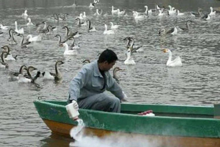 Lago é visto dentro de zoológico em Xian, na província de Shaanxi, na China, em 2005 (©afp.com / Str)