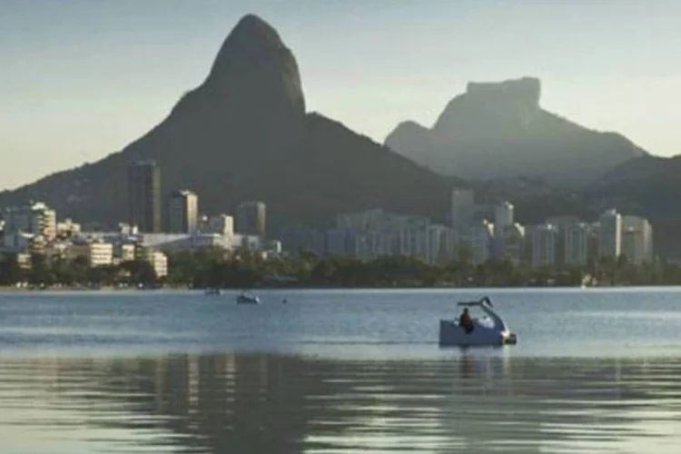 Pássaro na Lagoa Rodrigo de Freitas, no Rio de Janeiro, em processo de revitalização (.)