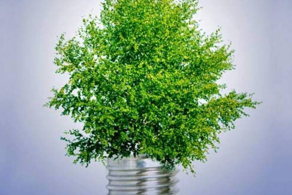 Design verde: a tendência que está ganhando o mundo
