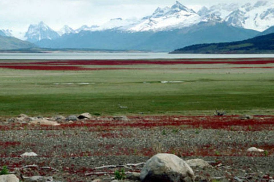 2,3 mi de hectares argentinos estão em mãos estrangeiras