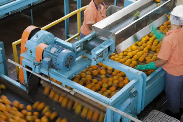 Trabalhadores na linha de produção da fábrica de suco de laranja da Cutrale, em Araraquara (Marcos Issa/Bloomberg News)