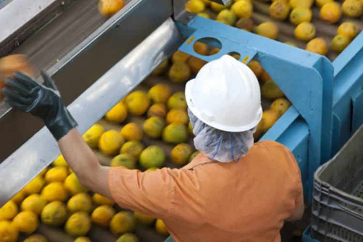 
	Trabalhador em uma f&aacute;brica de sucos da Sucocitrico Cutrale: a empresa quer a renova&ccedil;&atilde;o do contrato de arrendamento vencido em outubro de 2009, mas o governo resiste em ampliar o prazo&nbsp;
 (Marcos Issa/Bloomberg)