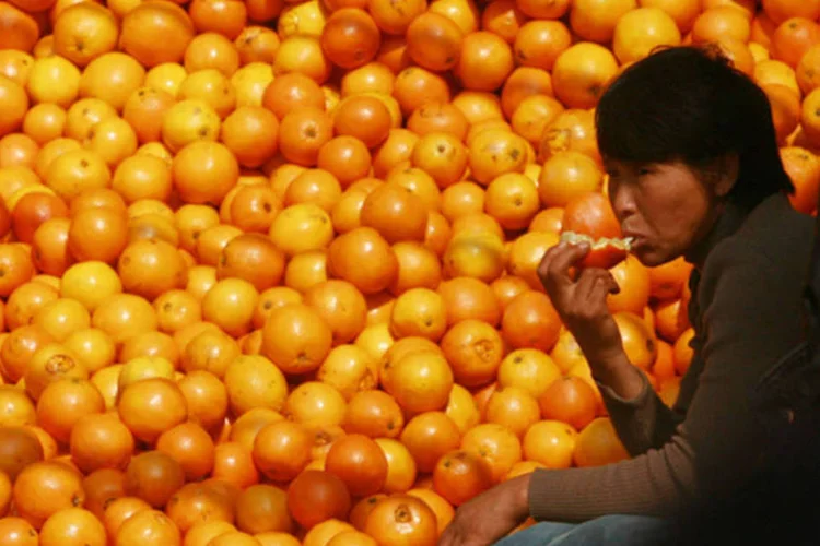 
	Homem comendo laranja em mercad&atilde;o: o Fundecitrus n&atilde;o fez tal estimativa para a safra do ano passado
 (China Photos/Getty Images)