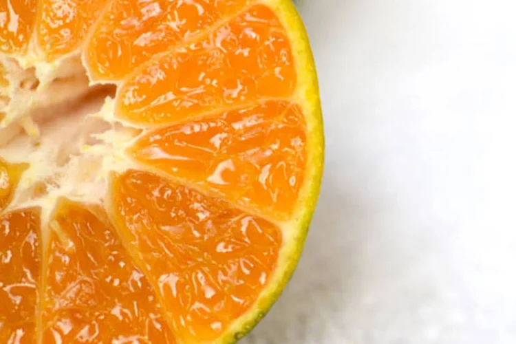 
	Laranja: o cade colocou na berlinda o acordo fechado com Citrosuco e Citrovita, na opera&ccedil;&atilde;o que criou a gigante do setor em dezembro do ano passado
 (Gary Tamin / Stock Xchng)
