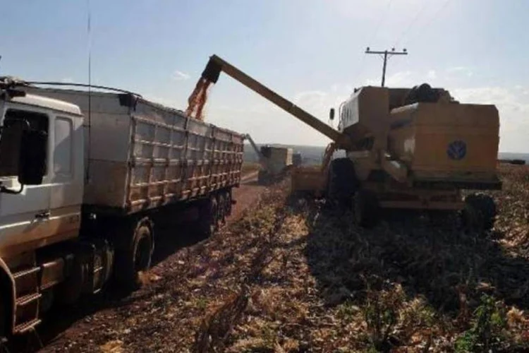 
	Safra de gr&atilde;os: IBGE revisou para baixo estimativas da produ&ccedil;&atilde;o neste ano por excesso de chuva no Paran&aacute; e seca no Maranh&atilde;o, Bahia e Piau&iacute;.
 (Valter Campanato/Agência Brasil)