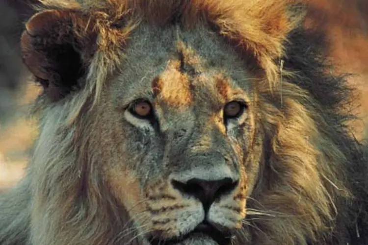 Mais de 18 mil pessoas vão ter que acertar as contas com o leão (Divulgação/EXAME.com)