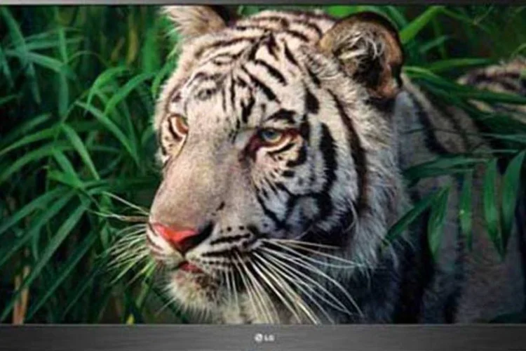 
	Portal &eacute; exclusivo da linha Cinema 3D Smart TV
 (Reprodução)