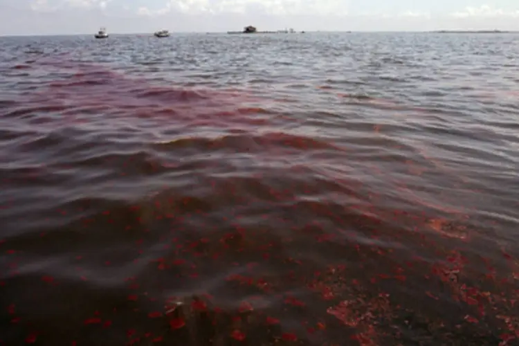 Mancha negra: vazamento da BP contamina flora e fauna do litoral dos EUA e deixa lições para o pré-sal brasileiro. (.)