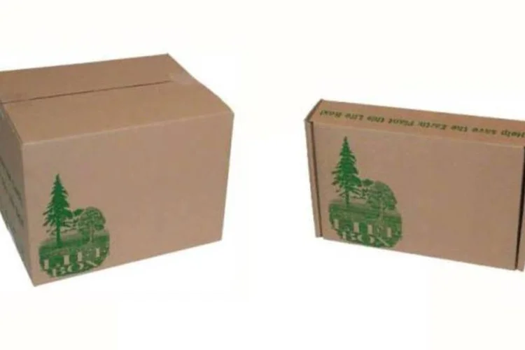 life_box_600-jpg.JPG