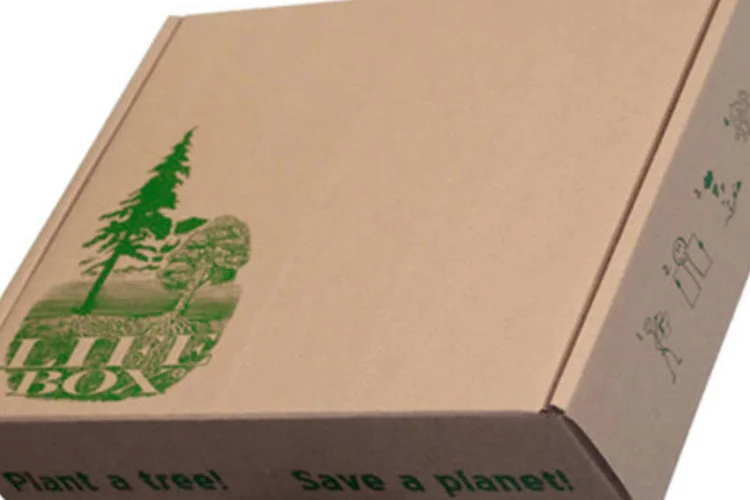 A Life Box é uma caixa de papelão, ecologicamente correta que pode ser rasgada e enterrada para fazer brotar 100 árvores.