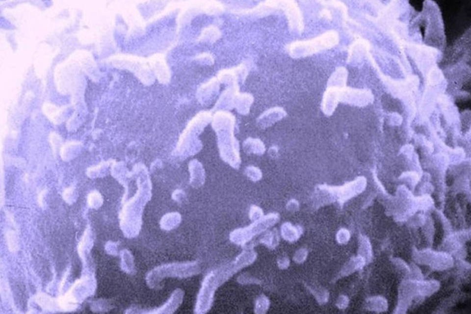 Alergia: gás produzido pelo organismo favorece diferenciação de linfócitos que pode agravar resposta inflamatória (Wikimedia Commons)