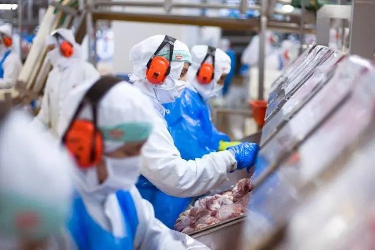 
	Linha de produ&ccedil;&atilde;o de aves: o Brasil &eacute; o maior exportador global de carne de frango
 (Divulgação)