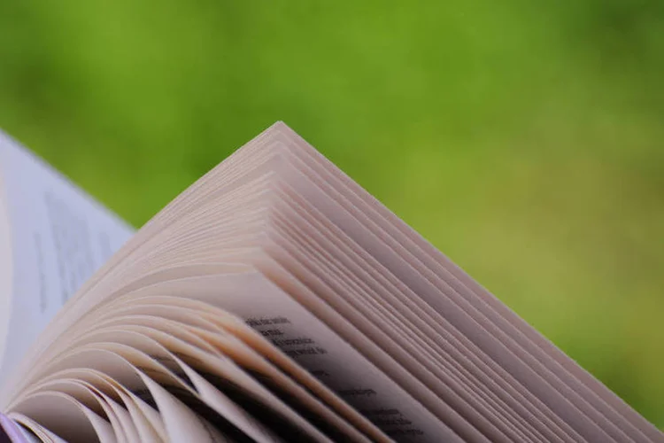 Leitura recomendada (Freeimages.com)