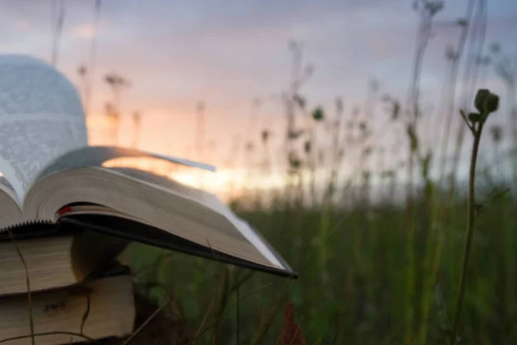 
	Livros: grupo envolvido esconde obras envolvidas em pl&aacute;stico para proteger contra a chuva
 (Thinkstock)