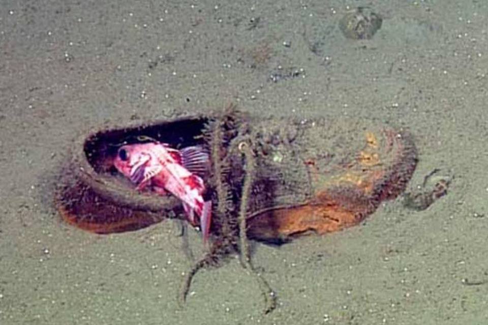 Fotos revelam o lixo que se acumula nas profundezas do mar