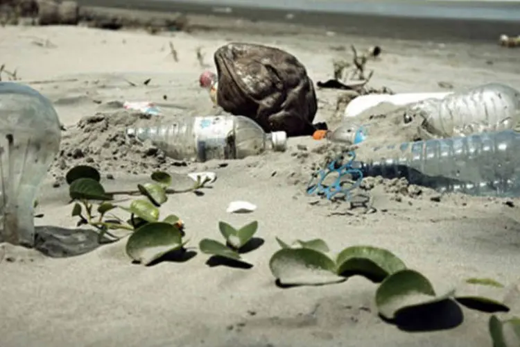 
	Lixo em praia: para a coleta, n&atilde;o ser&aacute; necess&aacute;rio separar os diferentes tipos de material recicl&aacute;vel
 (epSos.de/Creative Commons)