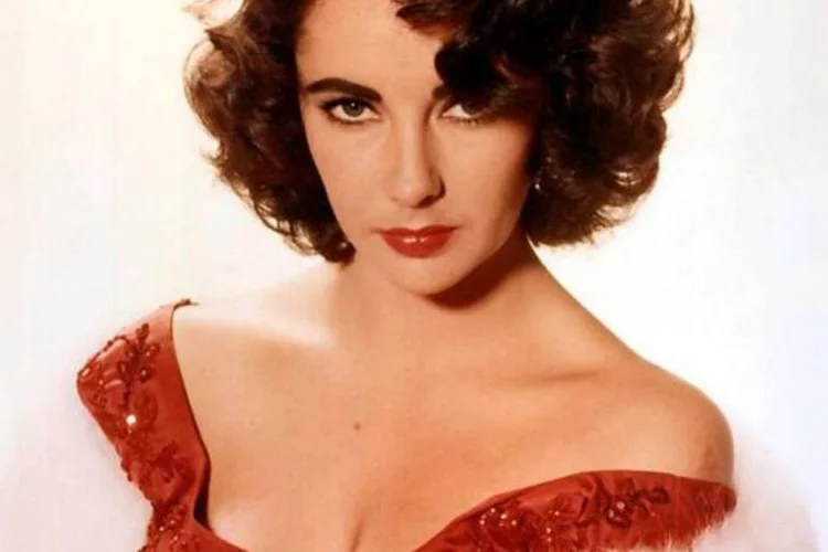 Parte dos lucros com as vendas irá para a Elizabeth Taylor Aids Foundation, fundada pela atriz em 1993 (Wikimedia Commons)