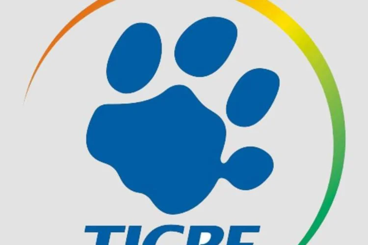 
	Logo da Tigre: O que antes era descartado no lixo agora ser&aacute; recolhido e reciclado
 (Divulgação)