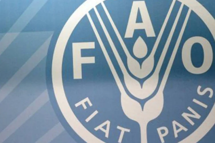 
	Logotipo da FAO: o livro &quot;Economizar para crescer&quot; destaca o crescimento do uso da rota&ccedil;&atilde;o de lavouras e pastagens no Brasil e outras regi&otilde;es da Am&eacute;rica do Sul
 (©AFP/Archivo / christophe simon)