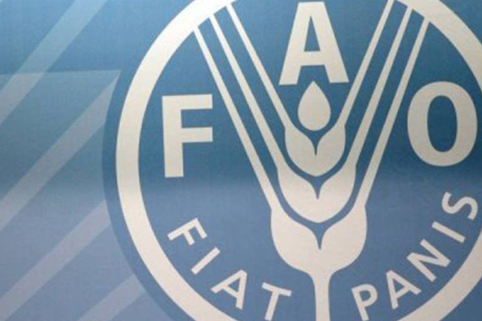 FAO pede apoio a pequenos produtores na luta contra a fome