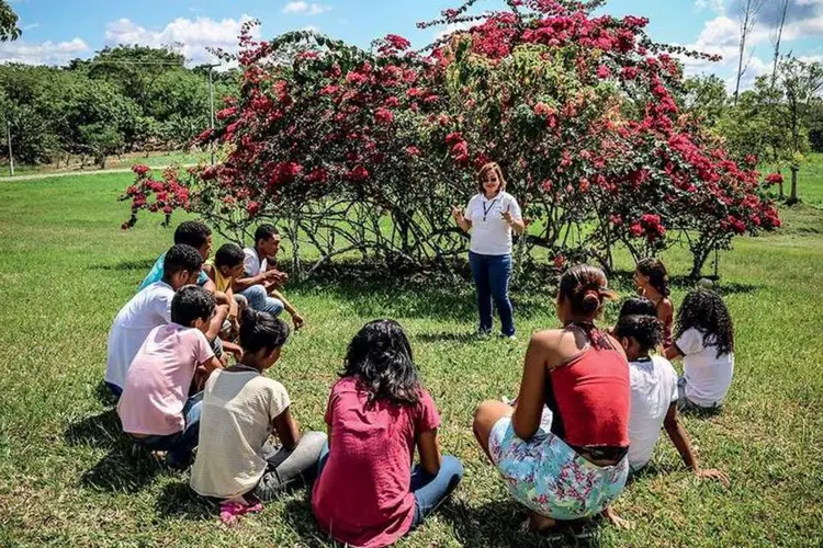 Luiza Santos: a pedagoga atua como analista de comunidade na Fazenda Santa Elisa, de beneficiamento de cacau da Mars, onde é responsável pela educação de 250 jovens e crianças
 (José Nazal)