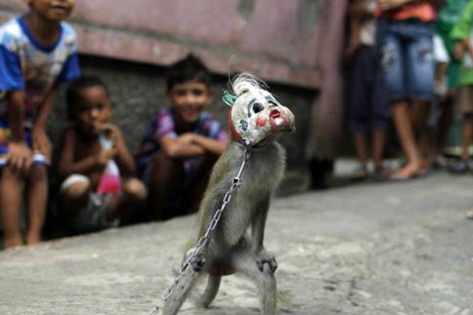 Macaco mascarado e que anda de bike? Em Jacarta, não mais