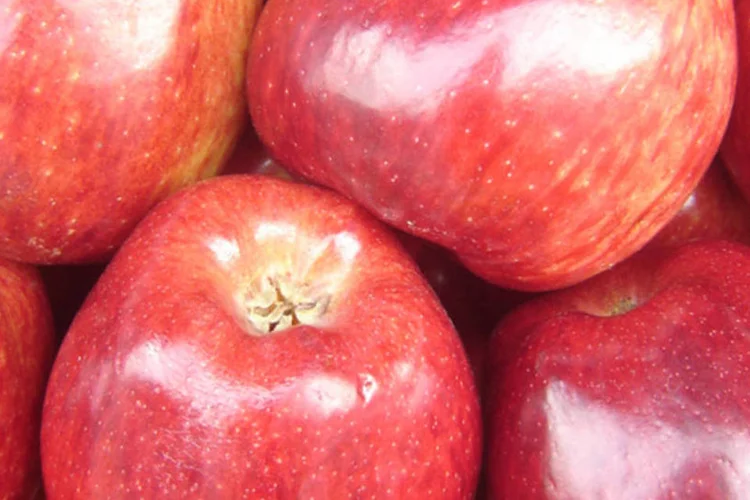 Para satisfazer seu estômago sem extrapolar nas calorias, a nutricionista sugere o consumo de alimentos ricos em fibra, que contribuem para a sensação de saciedade (Wikimedia Commons)