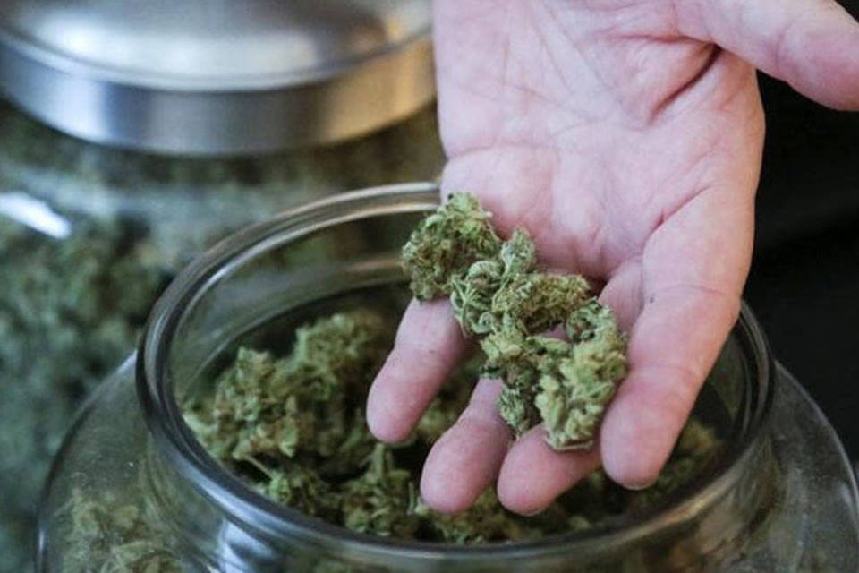 Produtor de maconha dos EUA vai leiloar 907 kg da erva