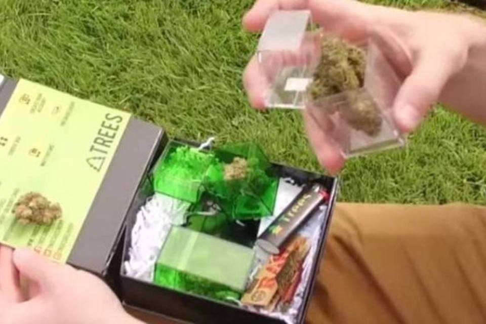 Empresa usa drones para entregar maconha medicinal