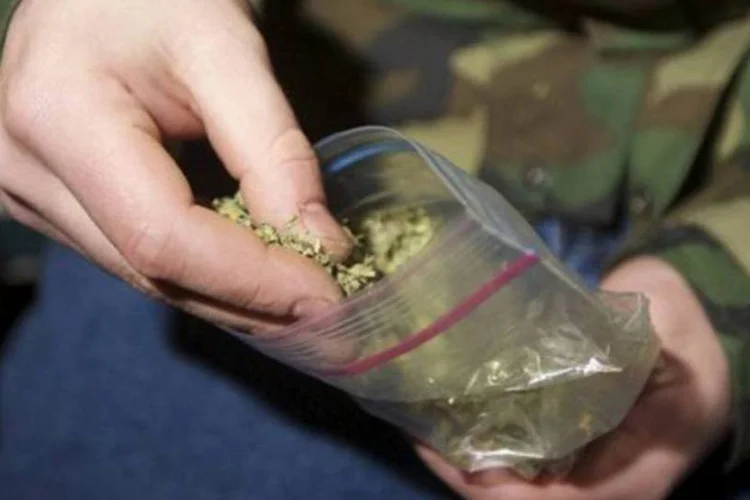 
	Maconha: segundo n&uacute;meros da Junta Nacional de Drogas, 20% dos uruguaios de idades entre 15 e 65 anos consumiu maconha alguma vez na vida.
 (Getty Images/AFP / Stephen Brashea)