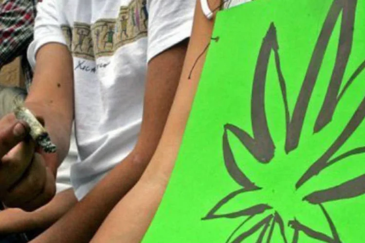
	Projeto de lei analisado no Parlamento uruguaio permite que usu&aacute;rios cultivem at&eacute; seis plantas da maconha
 (©AFP / Luis Acosta)