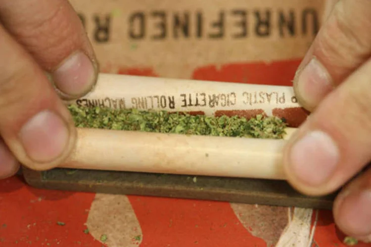 
	Maconha: as mulheres est&atilde;o atr&aacute;s dos homens em apoio &agrave; legaliza&ccedil;&atilde;o da cannabbis (59% dos homens contra 44% das mulheres)
 (Getty Images)
